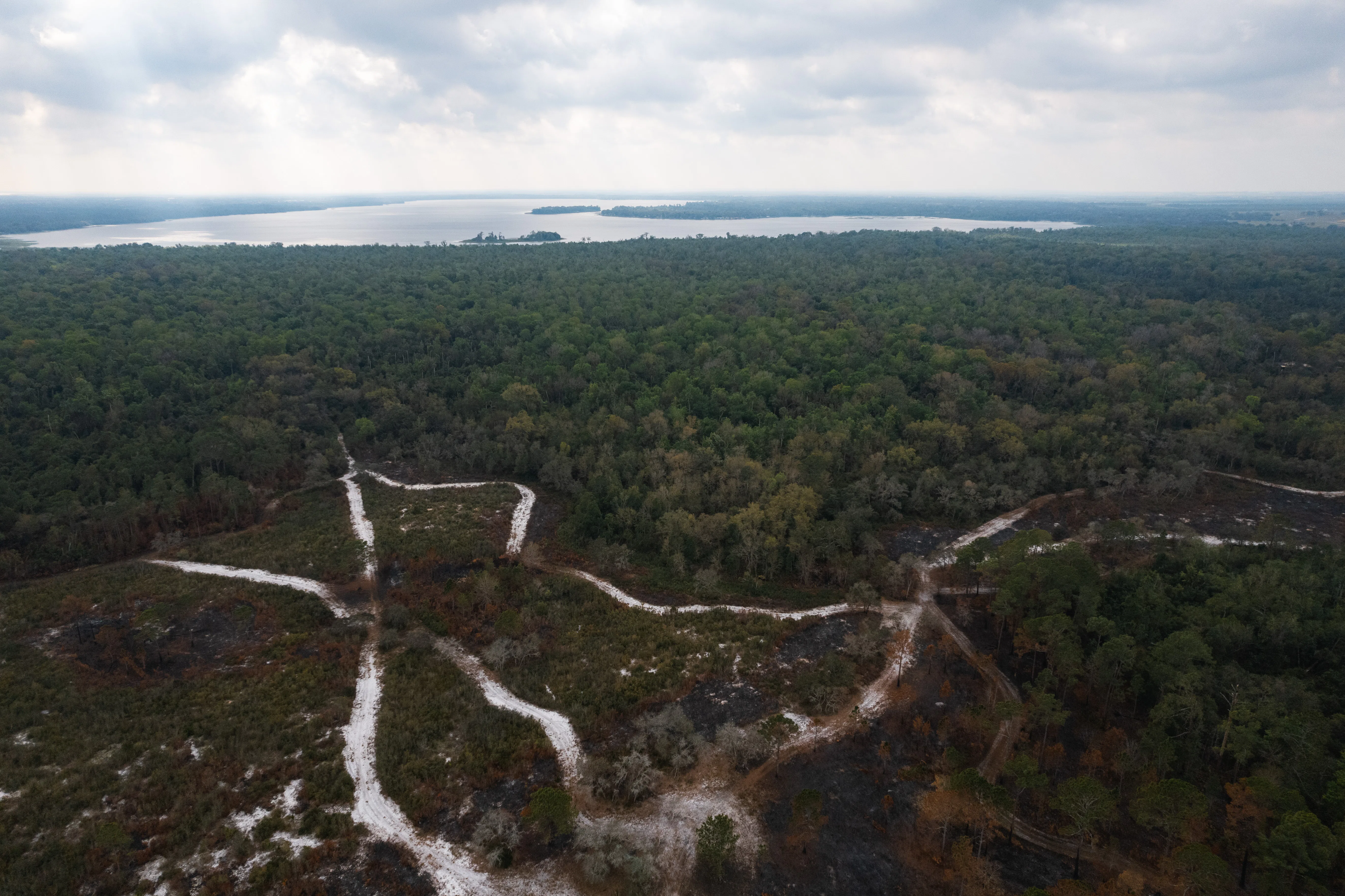 Lake Marion Creek trails in Haines City